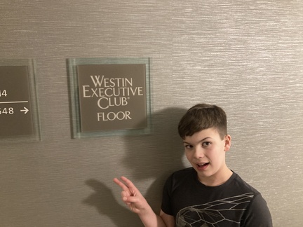 Westin Minneapolis1
